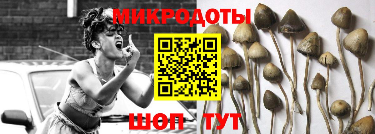 цена   Вход с VPN  Серпухов  Псилоцибиновые грибы мухоморы 